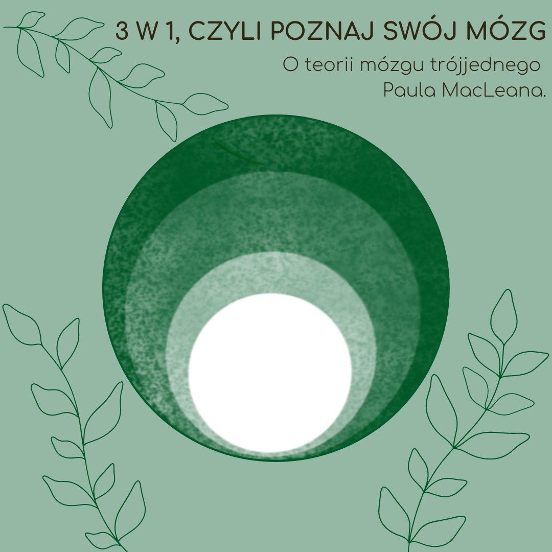 3 w 1, czyli poznaj swój mózg.