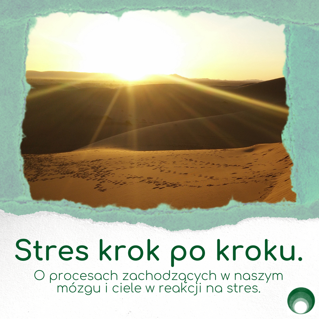 Stres krok po kroku.